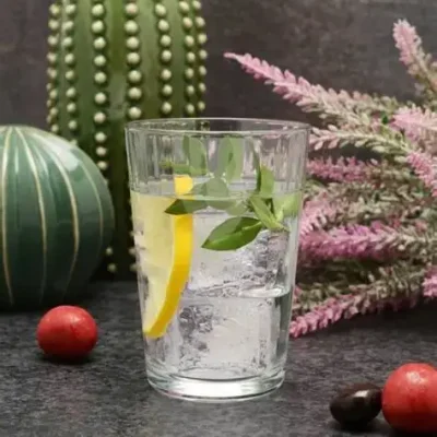 لیوان پاشاباغچه مدل لینا کد 52952
