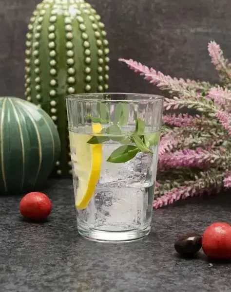 لیوان پاشاباغچه مدل لینا کد 52952