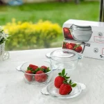 ظرف نگهدارنده پیرکس پاشاباغچه مدل بیسیک کد 97343